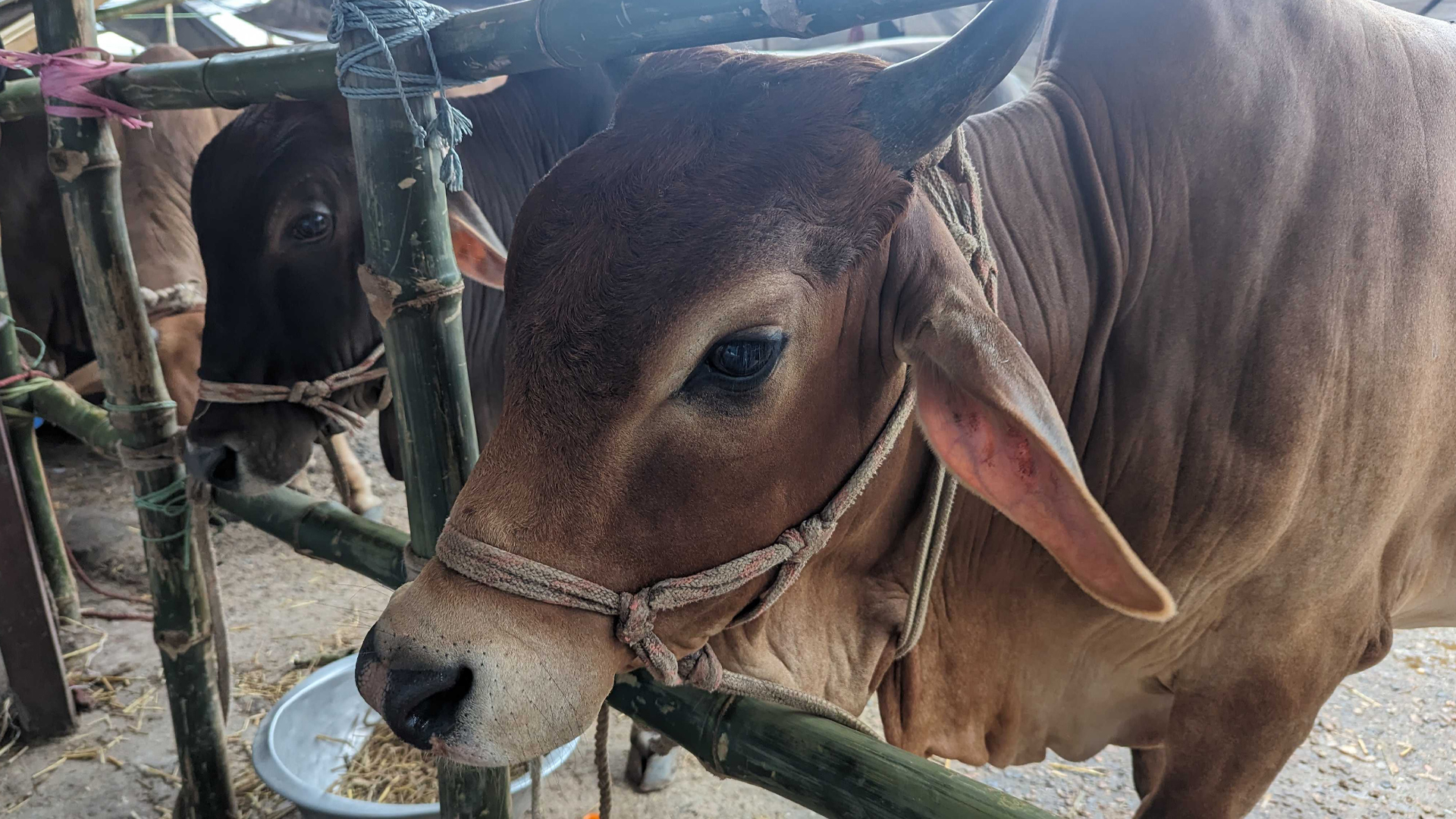 MARCH NAEEM 2ND/912ad7d3bd2c2072010d0ee785e4b8cde0fdde62372021e9.jpg